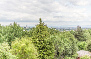 Ausblick Garten