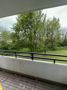 www.bucak-immo.de