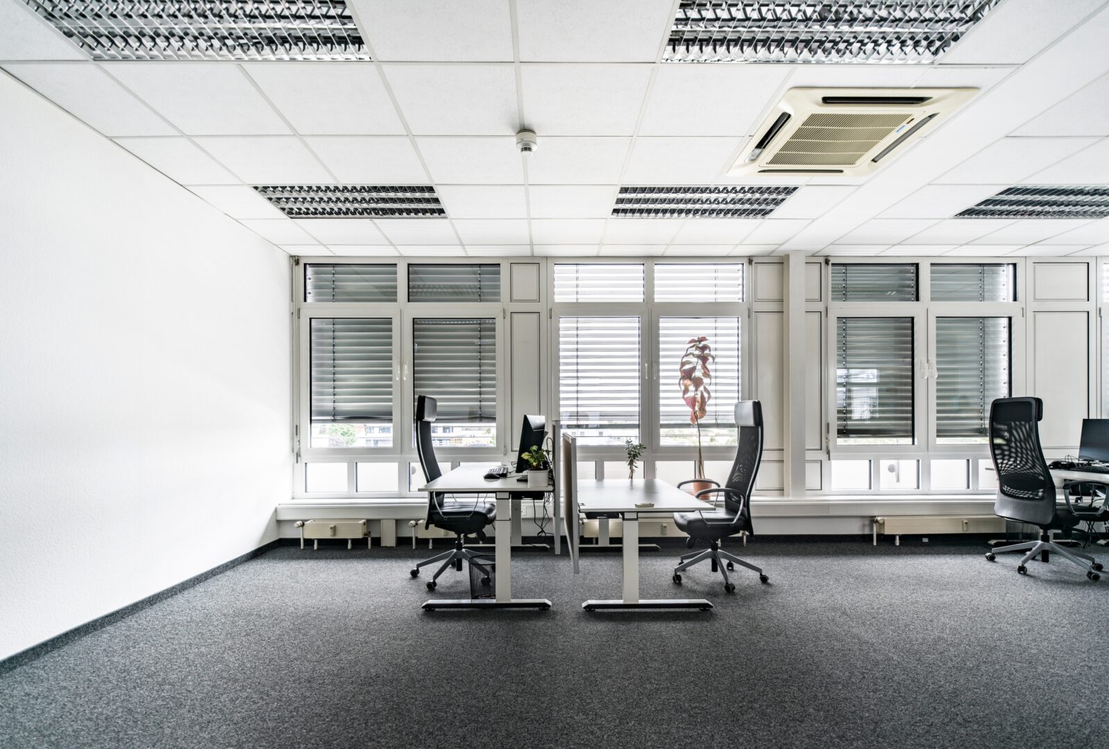 www.bucak-immo.de